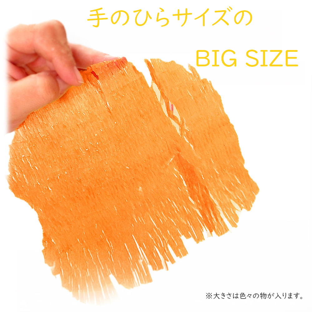 手のひらサイズののしいか